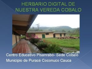HERBARIO DIGITAL DE NUESTRA VEREDA COBALO Centro Educativo