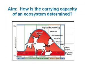 What is the carrying capacity (approx.)