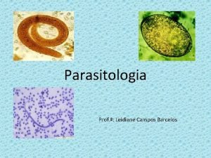 Parasitologia Prof Leidiane Campos Barcelos Introduo Parasitismo uma