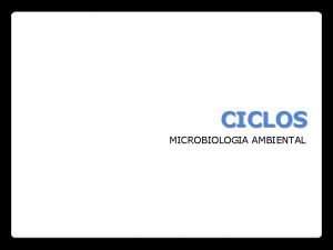 Ciclos biogeoquimicos microbiologia