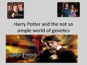 Harry potter and the inheritance of sex
