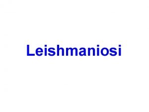 Leishmaniosi Leishmaniosi e un parassita che crea lesioni
