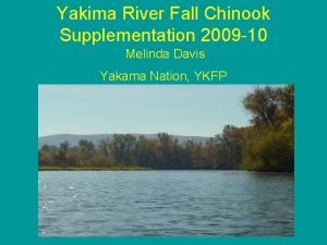 Yakima River Fall Chinook Supplementation 2009 10 Melinda