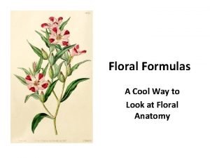 Floral formula practice