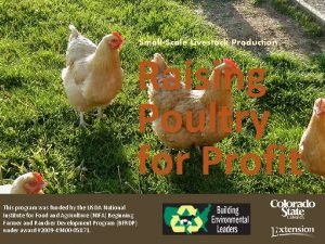 SmallScale Livestock Production Raising Poultry for Profit This