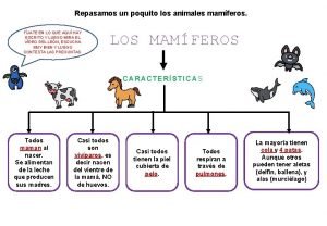 Repasamos un poquito los animales mamferos FJATE EN