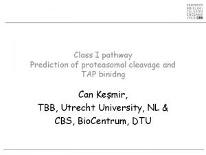 Class I pathway Prediction of proteasomal cleavage and