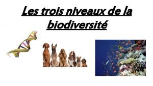 Les 3 niveaux de la biodiversité