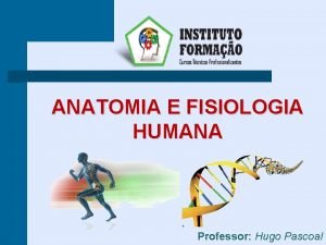 ANATOMIA E FISIOLOGIA HUMANA Professor Hugo Pascoal Sistema
