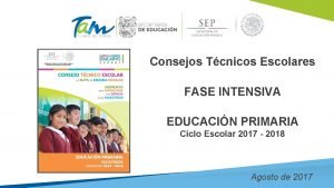 Consejos Tcnicos Escolares FASE INTENSIVA EDUCACIN PRIMARIA Ciclo