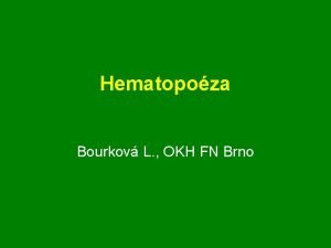 Hematopoza Bourkov L OKH FN Brno bl krvinky