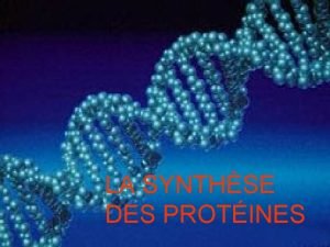 LA SYNTHSE DES PROTINES I La transcription Information