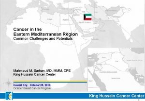 Presentation 100114 Cancer in the Eastern Mediterranean Region