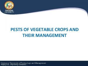 Centurion UNIVERSITY PESTS OF VEGETABLE CROPS AND THEIR
