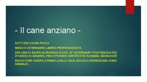 Il cane anziano DOTT SSA DALBA PAOLA MEDICO