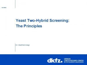 1272020 Yeast TwoHybrid Screening The Principles Dr Manfred