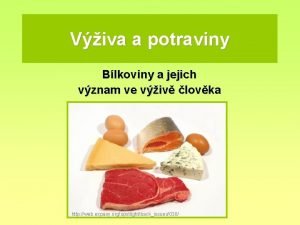 Viva a potraviny Blkoviny a jejich vznam ve