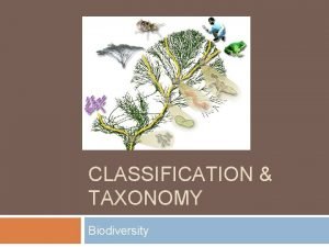 CLASSIFICATION TAXONOMY Biodiversity Classification The grouping of objects
