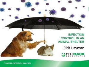 INFECTION CONTROL IN AN ANIMAL SHELTER Rick Hayman