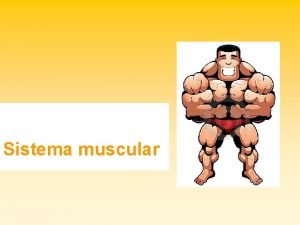 Sistema muscular O tecido muscular caracterizado pela propriedade