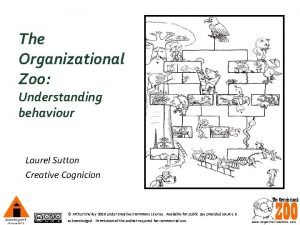 Organizational zoo