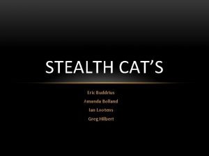 STEALTH CATS Eric Buddrius Amanda Bolland Ian Lootens