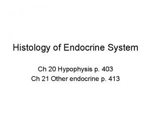 Histology of Endocrine System Ch 20 Hypophysis p
