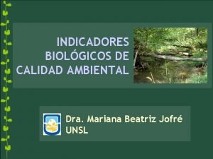 INDICADORES BIOLGICOS DE CALIDAD AMBIENTAL Dra Mariana Beatriz