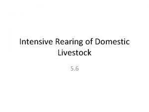 Intensive rearing of livestock