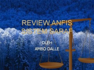 REVIEW ANFIS SISTEM SARAF OLEH AMBO DALLE Pembagian
