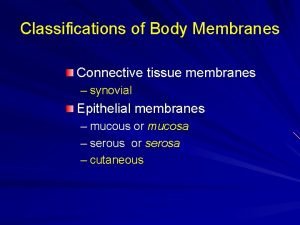 Classifications of Body Membranes Connective tissue membranes synovial