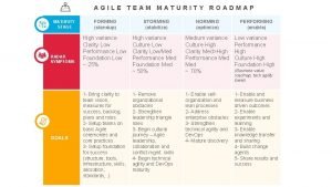 Agile maturity roadmaps