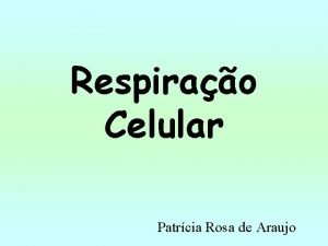 Respirao Celular Patrcia Rosa de Araujo Metabolismo Conjunto