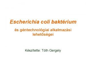 Escherichia coli baktrium s gntechnolgiai alkalmazsi lehetsgei Ksztette
