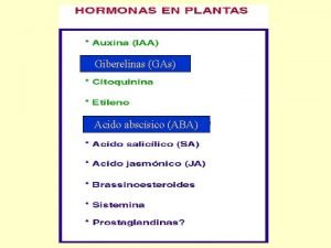 Giberelinas+gas+aba