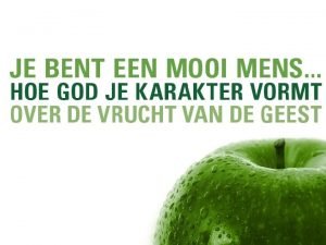 Moge God die ons hoop geeft u in