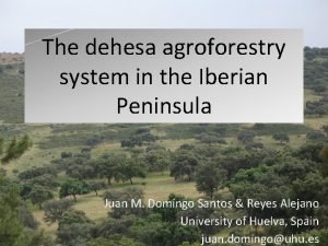 The dehesa agroforestry system in the Iberian Peninsula