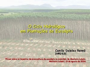 O Ciclo Hidrolgico em Plantaes de Eucalipto Camilo