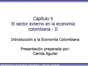 Captulo 5 El sector externo en la economa