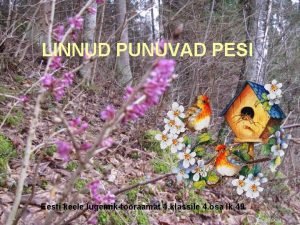 LINNUD PUNUVAD PESI Eesti keele lugemiktraamat 4 klassile