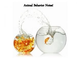 Animal behaviour notes