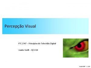 Percepo Visual PTC 2547 Princpios de Televiso Digital