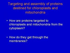 Targeting and assembly of proteins destined for chloroplasts