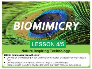 Biomimicry