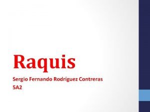 Raquis Sergio Fernando Rodrguez Contreras 5 A 2