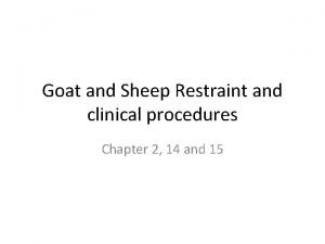 Goat and Sheep Restraint and clinical procedures Chapter