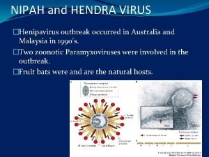 NIPAH and HENDRA VIRUS Henipavirus outbreak occurred in