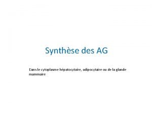 Synthse des AG Dans le cytoplasme hpatocytaire adipocytaire