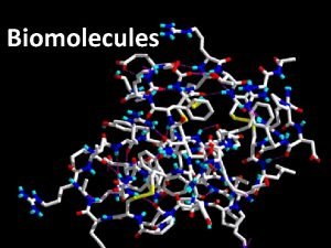 Biomolecules What are the 4 most commonly used