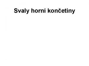 Svaly horn konetiny Musculi humeri Musculus subscapularis ZATEK